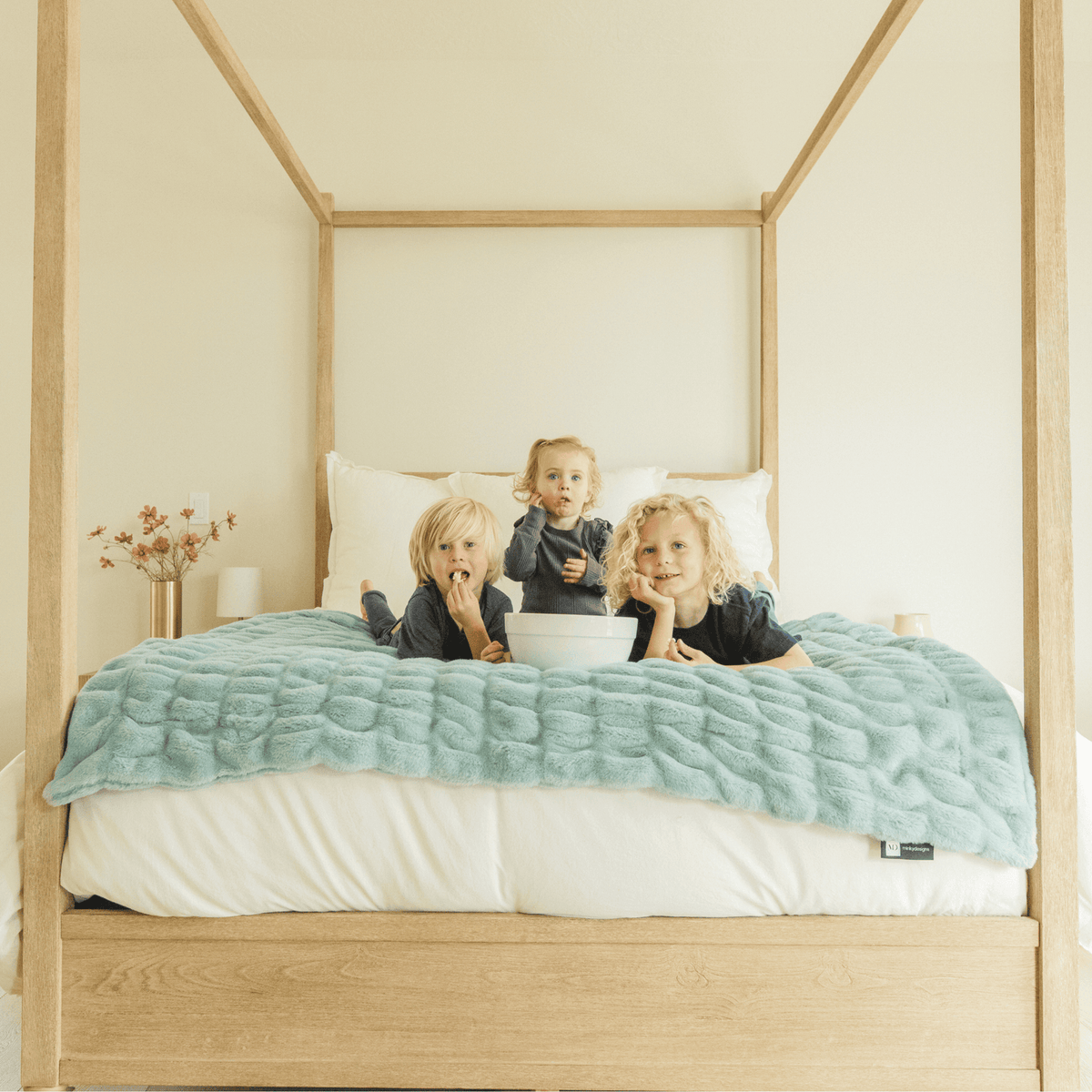 Glacier Glide Minky Blanket Chic Collection