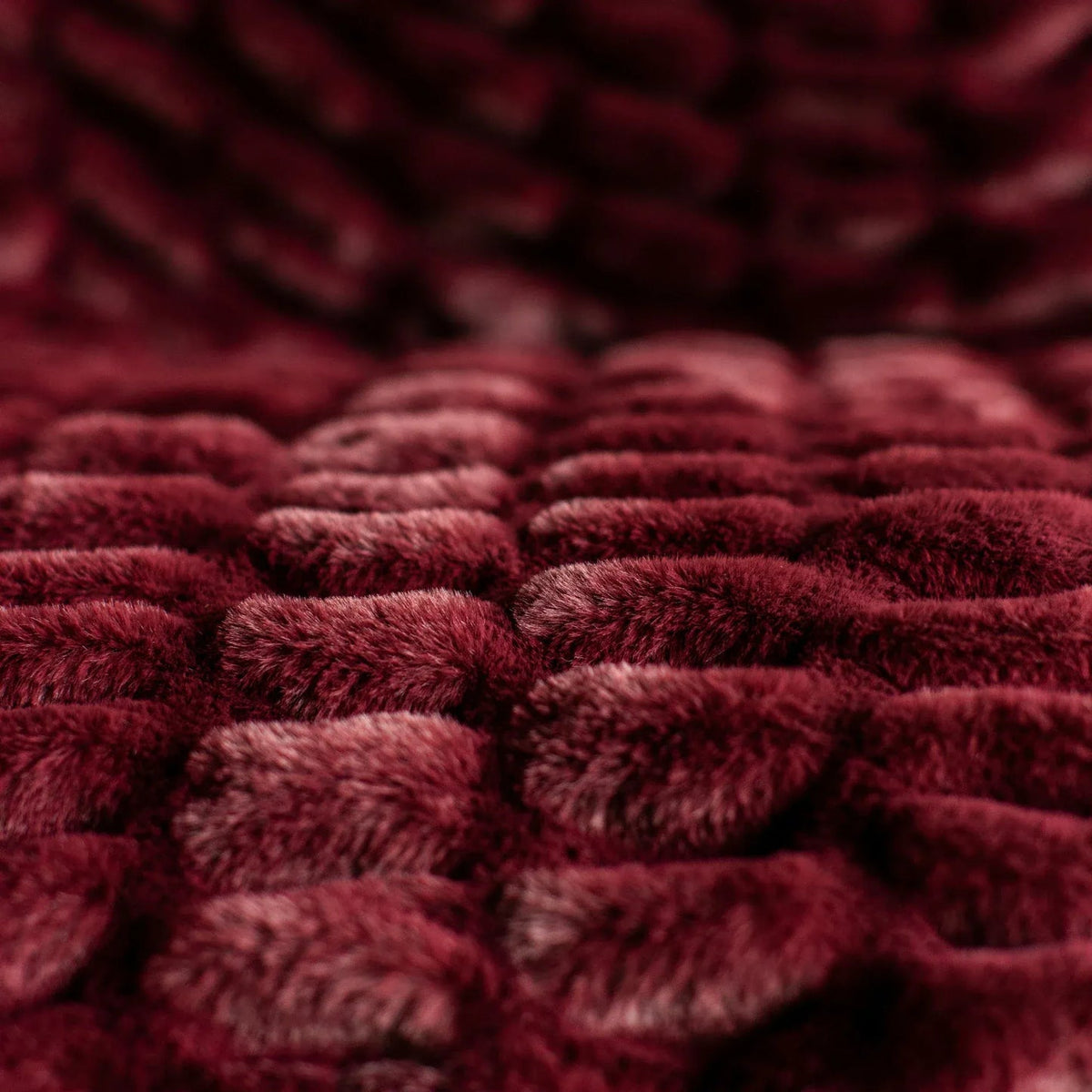 Berry Wine Minky Blanket Chic Collection (Medium 50x60 in)